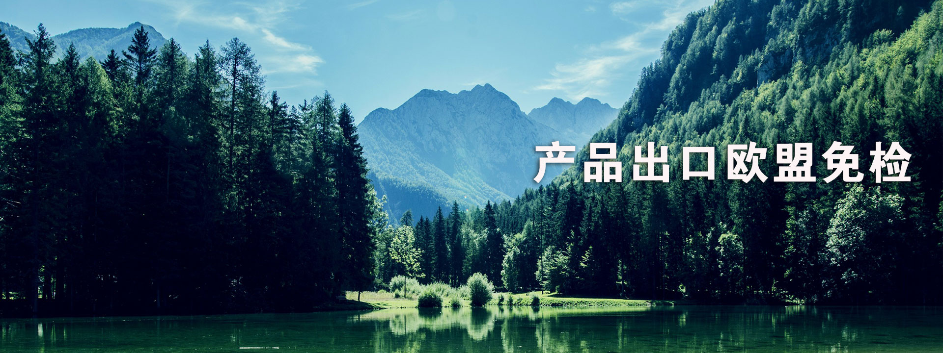 柴油發(fā)電機(jī)組